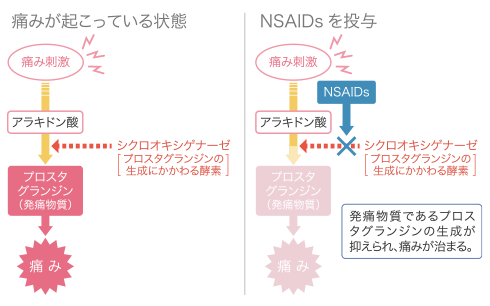 NSAIDsを投与のイメージ